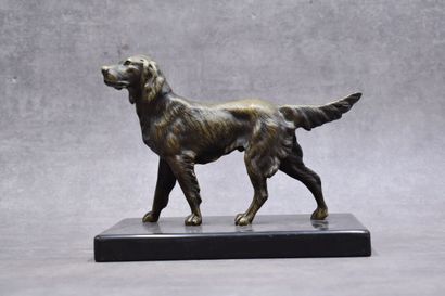 Spaniel, bronze with golden patina, black...