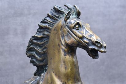 Horse of Marly after COUSTOU, bronze mounted...