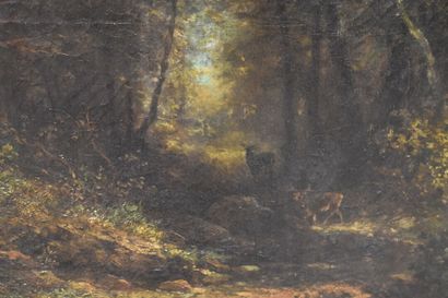 Cerf
School of the XIXth century, Stag and...