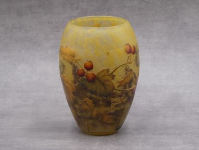 Daum, Vase
DAUM NANCY. Vase in multilayer...