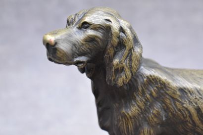 Spaniel, bronze with golden patina, black...