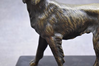 Spaniel, bronze with golden patina, black...