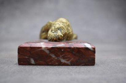 Paperweight representing a dead bird, chased...