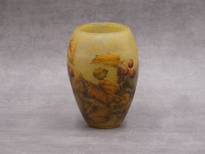 Daum, Vase
DAUM NANCY. Vase in multilayer...