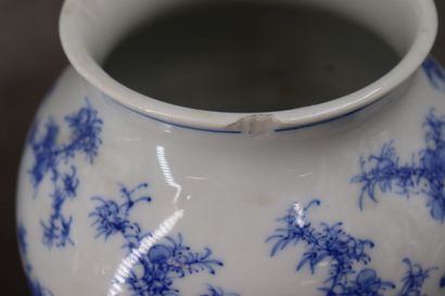 CHINE. Paire de vases en porcelaine à décor...