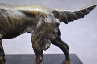 Spaniel, bronze with golden patina, black...