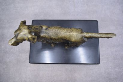 Spaniel, bronze with golden patina, black...