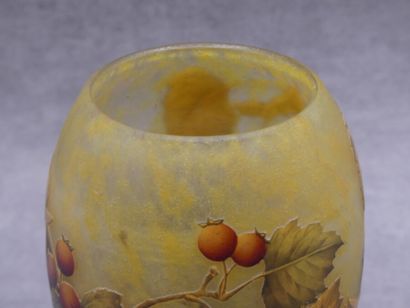 Daum, Vase
DAUM NANCY. Vase in multilayer...