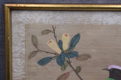 CHINE. Volatile sur une branche, peinture...