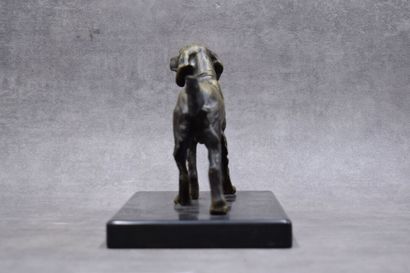 Spaniel, bronze with golden patina, black...