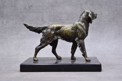 Spaniel, bronze with golden patina, black...