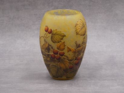 Daum, Vase
DAUM NANCY. Vase in multilayer...