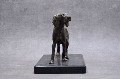 Spaniel, bronze with golden patina, black...