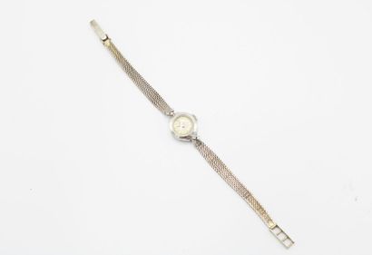 NOVLUX
Lady's watch in white gold and diamonds....