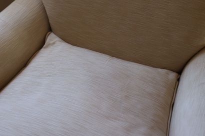 Fauteuil de salon avec un coussin d'assise...