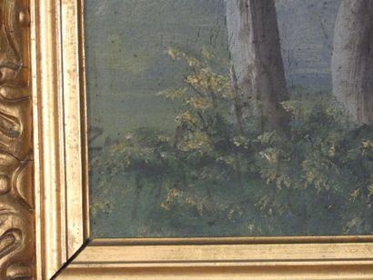 Paire de paysages, huiles sur toile signées...