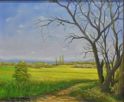 M.T DE LA COSTE (XXe siècle), Colza à perte...