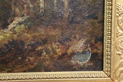 Ecole du XIXe siècle, Sous-bois, huile sur...