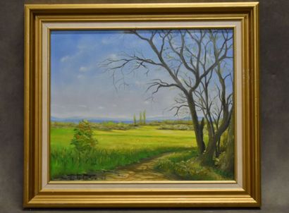 M.T DE LA COSTE (XXe siècle), Colza à perte...