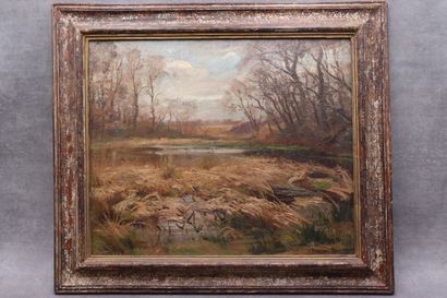 Raymond DESVARREUX (1876-1961) Paysage, huile...