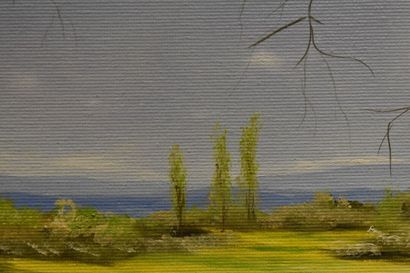 M.T DE LA COSTE (XXe siècle), Colza à perte...