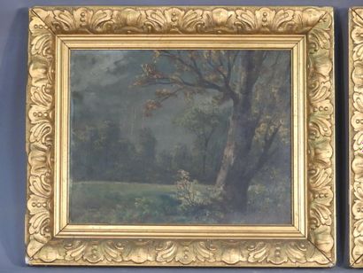Paire de paysages, huiles sur toile signées...