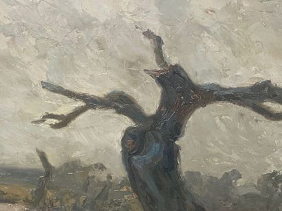 Etienne DE MARTENNE (1868-1920), Paysage...