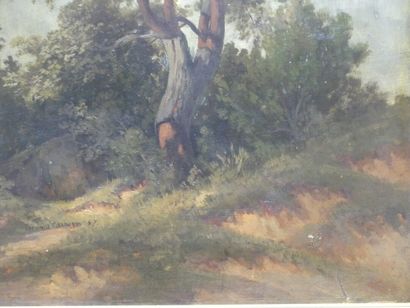 Édouard Louis CAUVIN (1817-1900). Paysage...