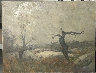 Etienne DE MARTENNE (1868-1920), Paysage...