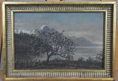 Lucien MICHON (1887-?)., Arbre fleuri en...