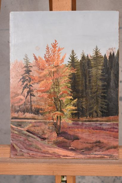 Marcel MAILLARD (1922), Recto : Vue sur rivière...