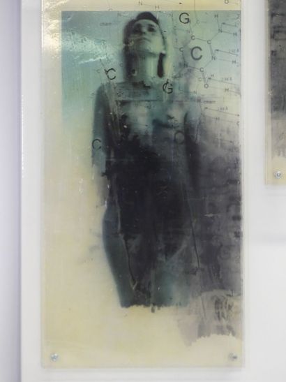 Ulrike BOLENZ (1958-)
Ulrike BOLENZ (1958),...