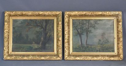 Paire de paysages, huiles sur toile signées...