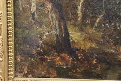 Ecole du XIXe siècle, Sous-bois, huile sur...