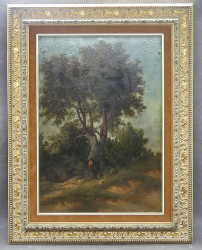 Édouard Louis CAUVIN (1817-1900). Paysage...