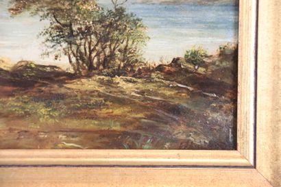Work of the XXth century, View of a house...