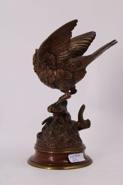 Édouard Paul DELABRIERRE (1829-1912). Oiseau...