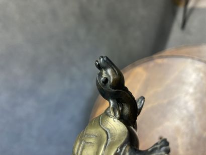 ASIE 
Turtle in bronze with brown and golden...