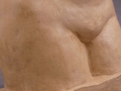 D'après l'Antique. 
Aphrodite by Praxiteles,...