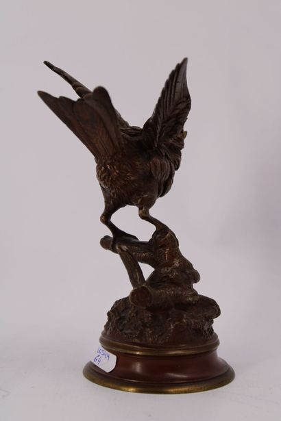 Édouard Paul DELABRIERRE (1829-1912). Oiseau...