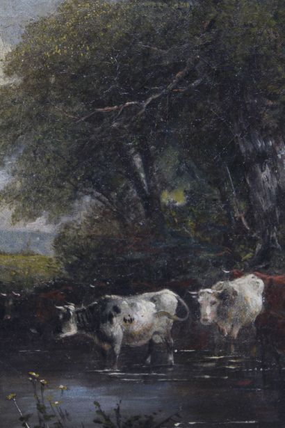 School of the XIXth century. Cows near a...