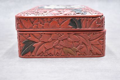 JAPON. 
Red lacquer and shibayama covered...