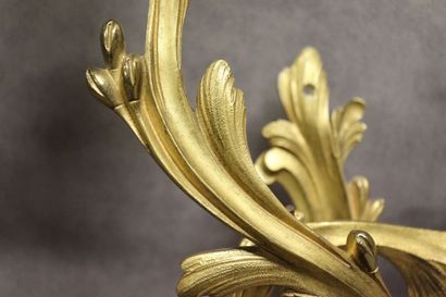 Paire d'appliques en bronze ciselé doré éclairant...