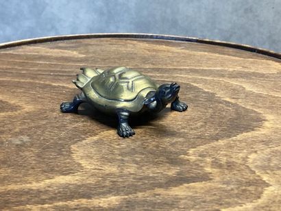 ASIE 
Turtle in bronze with brown and golden...