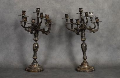 Paire de candélabres.
Paire de candélabres...