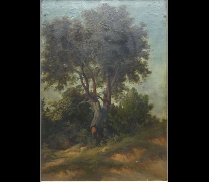 Édouard Louis CAUVIN (1817-1900). Landscape...