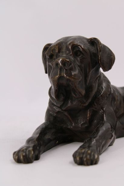 Chien allongé, bronze à patine brune. XXe...
