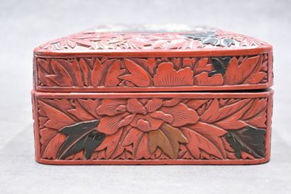 JAPON. 
Red lacquer and shibayama covered...