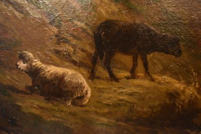 School of the XIX eme century. Shepherds...