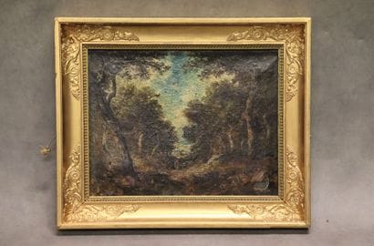 School of the XIXth century, Sous-bois, oil...